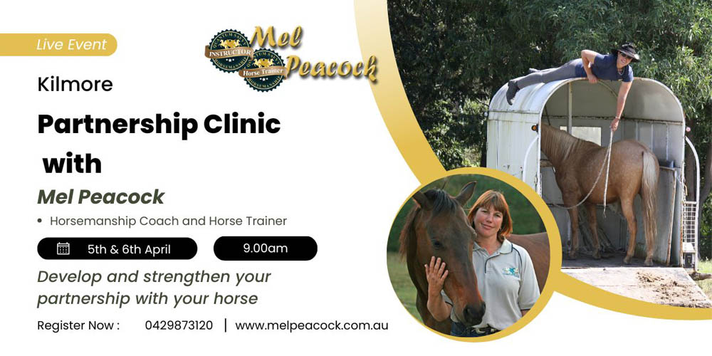 Partnership Clinic at Kilmore with Mel Peacock in April 2025